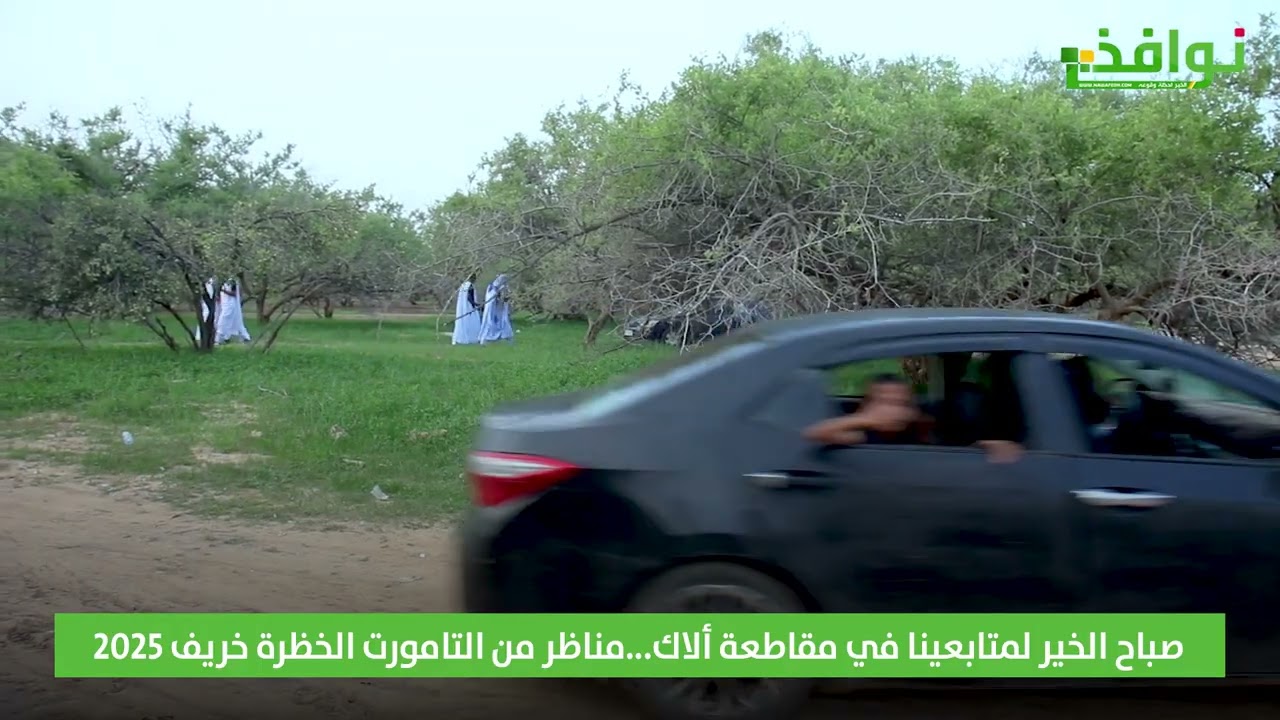 صباحيات ...مناظر من التامورت الخظرة في خريف 2025