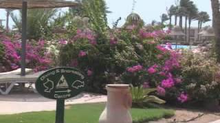 Egypt Holidays   Radisson SAS Hotel   Sharm, Egypt Holiday(, 2012-12-21T23:11:42.000Z)