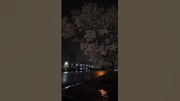 مَّا فِي السَّمَاوَاتِ وَالْأَرْضِ | ما تيسر من سورة الأنعام 🤍✨ | القارئ محمد ديبيروف