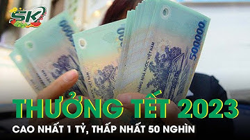 Buồn Vui Thưởng Tết Quý Mão 2023: Người Nhận Cả Tỷ, Người Được 50 Nghìn Đồng | SKĐS