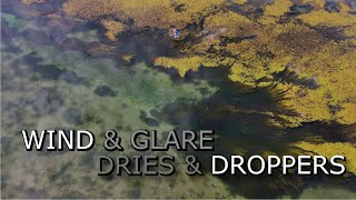 Applying Various Fly Fishing Tactics in Changing Conditions: Wind, Cloud, Glare, Dries & Droppers