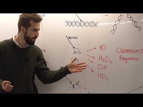 Видео: Что может вызвать адаптивное излучение?