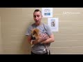 Frank dog of the at the Humane Society of Lebanon County#LDNews