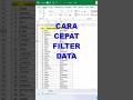 CARA CEPAT FILTER DATA EXCEL  #excel #exceltips #exceltricks #exceltutorial