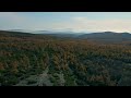 Drone Forest  Relaxing Nature Sounds &amp; Calm Music for Sleep, Study &amp; Stress Relief