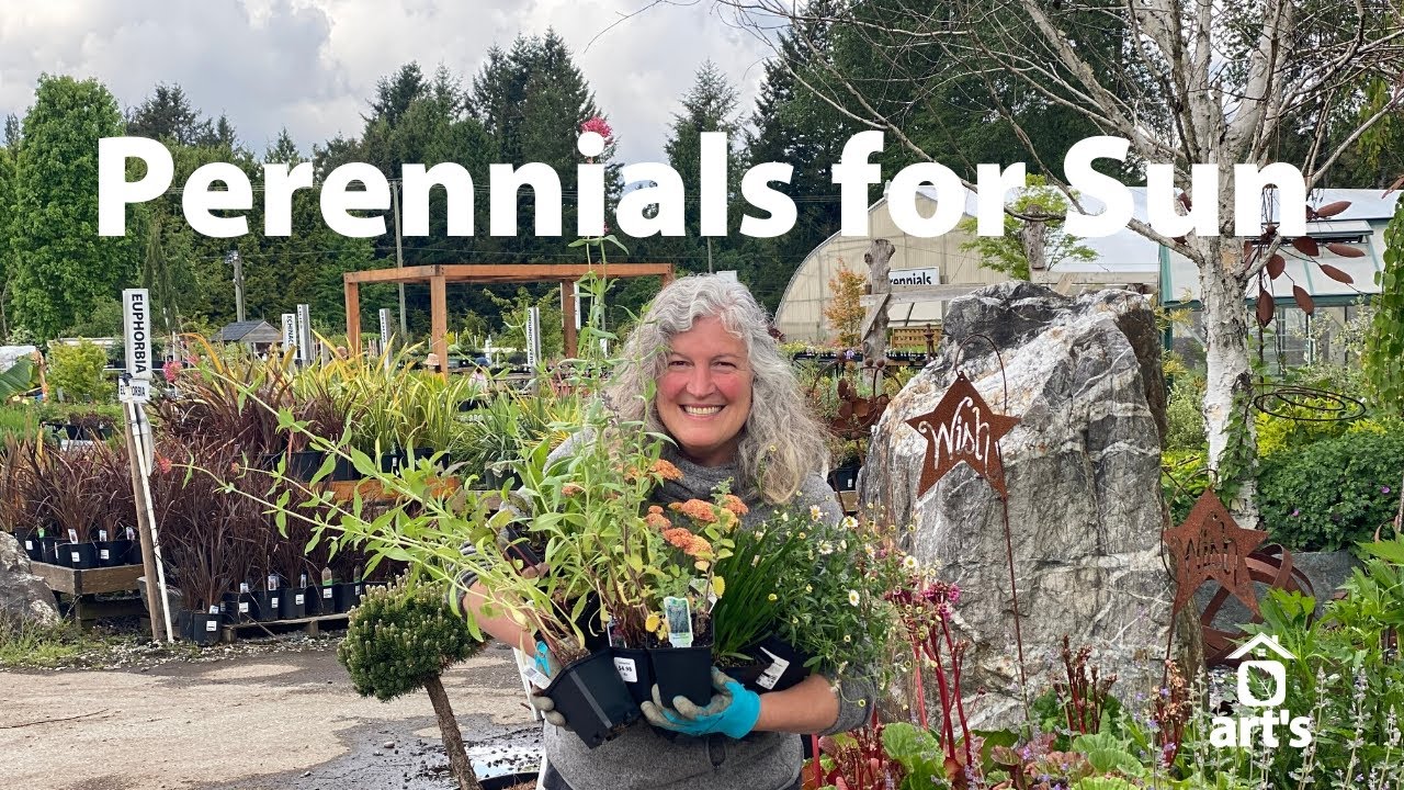 Perennials for Sunny Areas that Attract Pollinators - YouTube