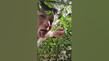 Miếng ăn đến miệng còn rơi #dautayanhhoang #dautay #strawberry #shorts