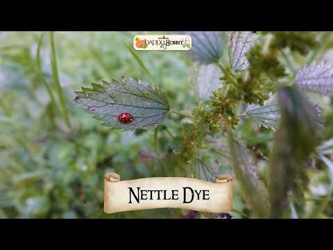 I Dyed Fabric with Nettle (Hobbit Natural Dye Experiment)