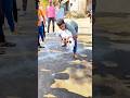 Dog race kolhapur || kolhapur dog racing|| dog racing maharastra|| #shortsvideo #youtubeshorts