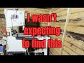 Shed restoration: Fixing rot and water damage
