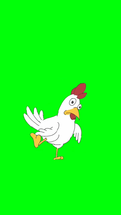 Green screen animasi ayam bergerak