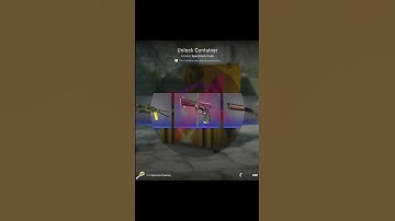 CS2 Daily Case Opening - Day 89