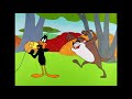 Daffy duck  la musique adoucit le diable 1957