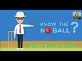 no ball rule in cricket || all type of No ball in cricket || weird no ball rule In cricket