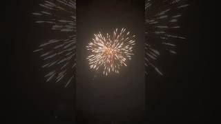 Pogoo #diwali #skyshot #sonyfireworks #patakhe #crackers #fireworks #trending #viral #shorts
