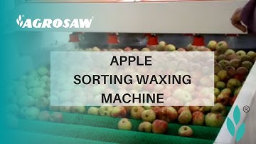 Agrosaw Apple grading Machine