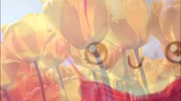 My Slideshow for 10 seconds