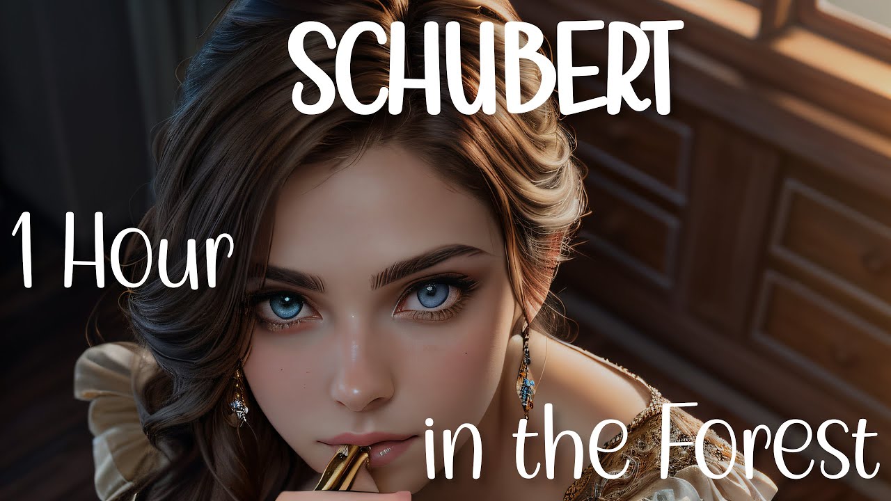 1 Hour Of Relaxing Classical Piano Music - Franz Schubert Sonata in E ...