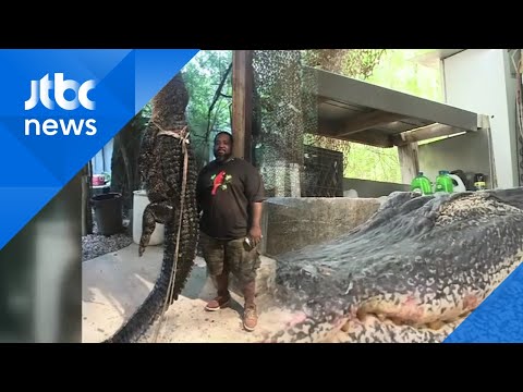 카약 타는 남성 뒤쫓은 생명체의 정체…160㎏ &amp;#39;<strong>거대</strong> <strong>악어</strong>&amp;#39;