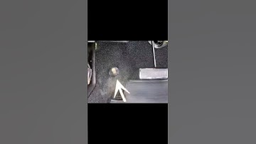 Age Check 1 #nostalgix #nostalgic #nostalgia #agechallenge #agecheck #whatisthis #shorts