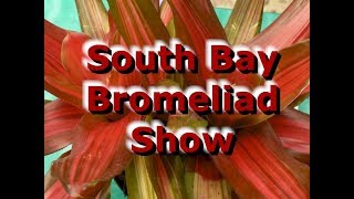 2018 Bromeliad Show at Rainforest Flora in Hawthorne CA.