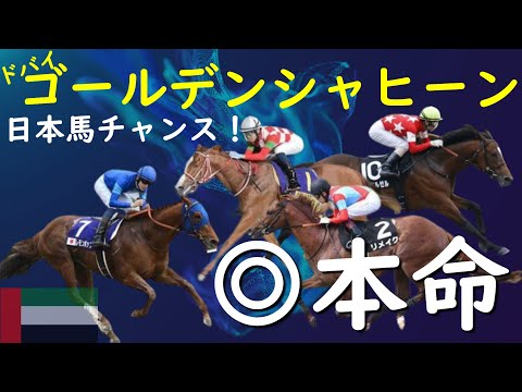 【ドバイゴールデンシャヒーン】最大の敵は日本馬？日米スプリント決戦で○○が逆転勝利へ。