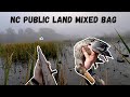 DUCK HUNTING 2020 - North Carolina OPENING DAY (Public Land)