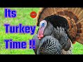 Quick and easy turkey hunt