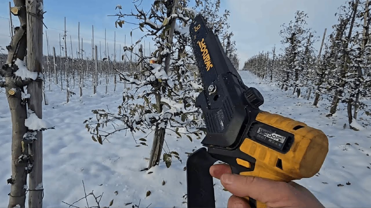 Chwilowy atak zimy - Karczujemy sad - Zaczynamy cięcie sadu