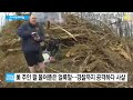 길 가다 맹견 마주쳤을 땐 공격보단 ´방어´하세요 / SBS