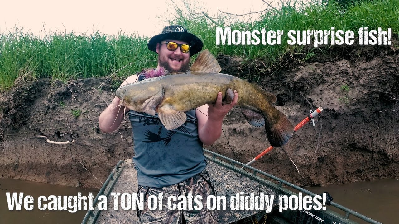 Big Cats and Huge Surprise Fish On Diddy Poles! (Memorial Day Diddy Poles  and Trot Line) 
