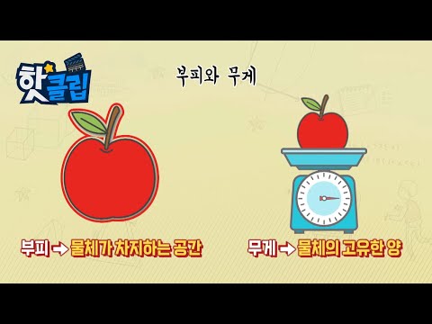 부피와 무게와 들이는 무엇이 다를까? [핫클립] / YTN 사이언스