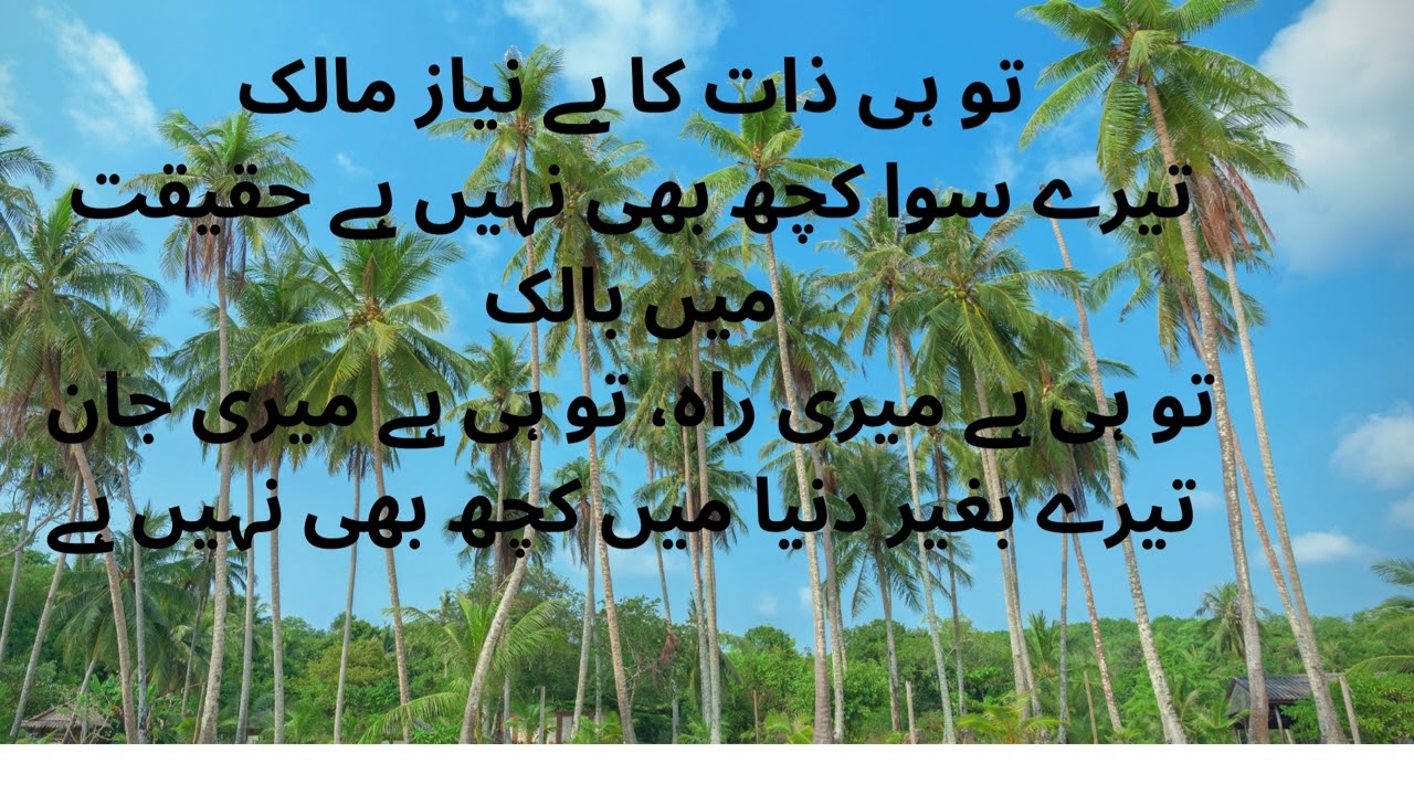 Wisdom's Essence: Nurturing the Seeds of Enlightenment.