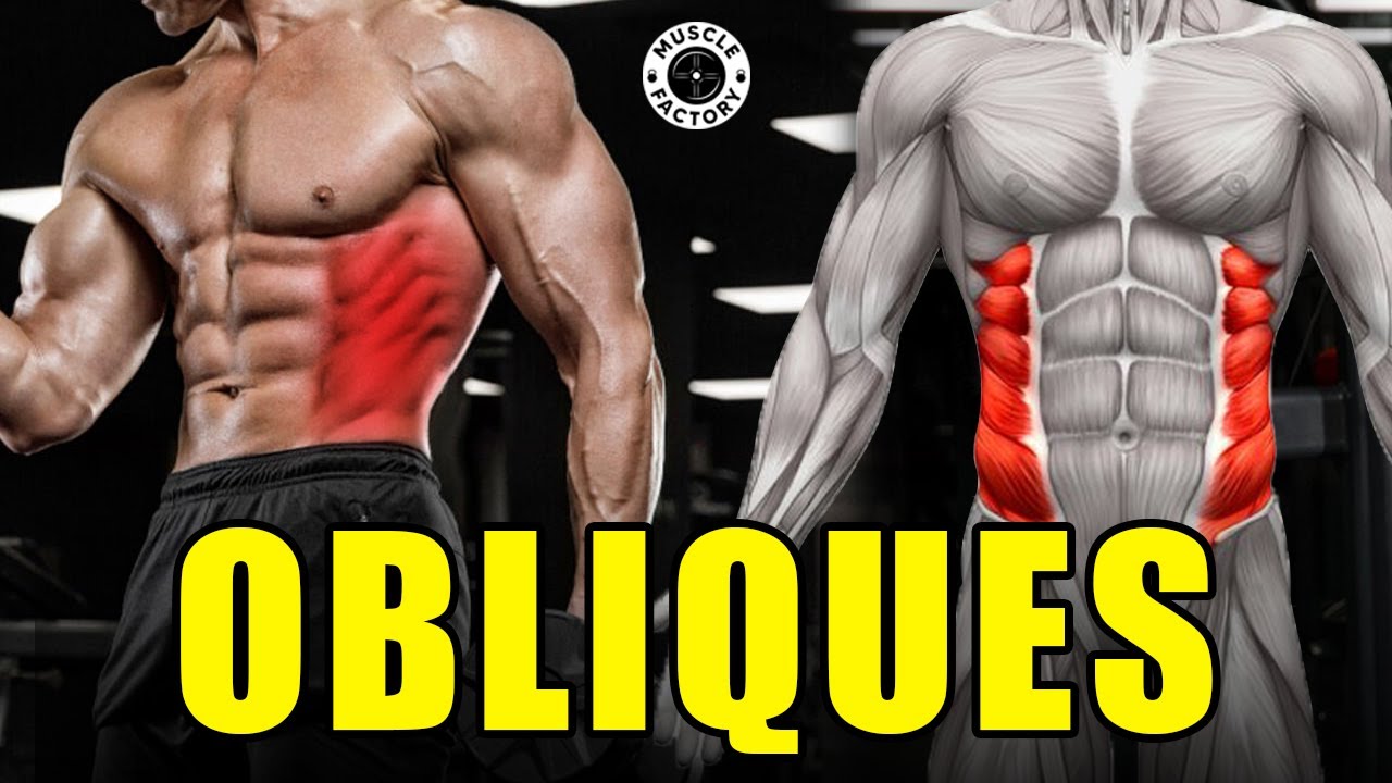 6 ИДЕАЛЬНАЯ ОБЯЗАТЕЛЬНАЯ ТРЕНИРОВКА