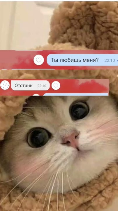 Лп😂👍 - YouTube