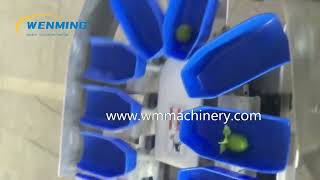 Automatic Weigher Fruits Grading Machine Fruits weight sorting machine
