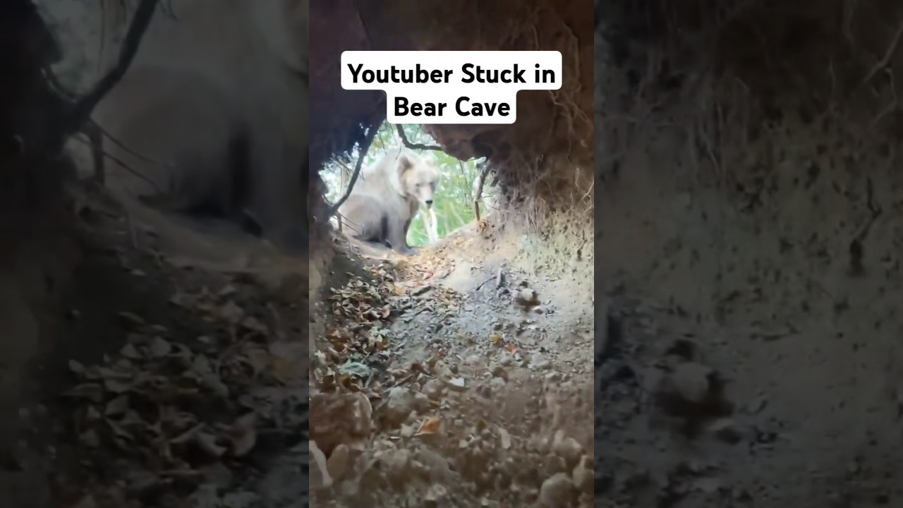 Watch Crazy Youtuber gets stuck in bear cave. #bear #wildlife #explore #viral #jungle #crazyvideos #shorts on YouTube Watch Crazy Youtuber gets stuck in bear cave. #bear #wildlife #explore #viral #jungle #crazyvideos #shorts on YouTube