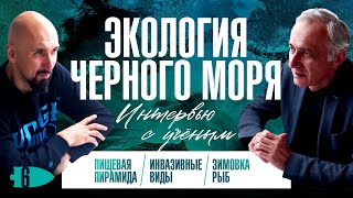 Влог#2 Экология Черного моря | Инвазивные виды | Зимовка рыб