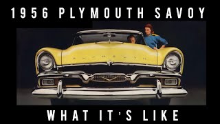 1956 Plymouth savoy