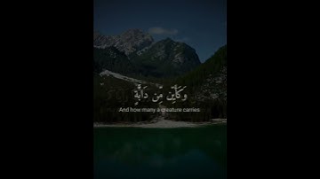 Surah al ankabut|| سورة العنكبوت || الَّذِينَ صَبَرُوا وَعَلَىٰ رَبِّهِمْ يَتَوَكَّلُونَ|| #short