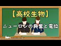 高校生物【ニューロンの興奮と電位】オンラインで高校授業