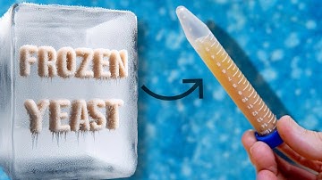 How To Freeze Yeast (And Keep It For Years)
