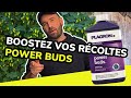 Prsentation  boostez vos rcoltes avec power buds de plagron