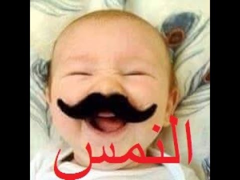 مهرجان من بعيد سامع سرينه امين خطاب افجر حالات واتس اب مهرجانات 2021