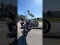 Miami BMW S1000R Wheelie | Майами #vladhero #miami #bmws1000r #wheelie #stuntriding
