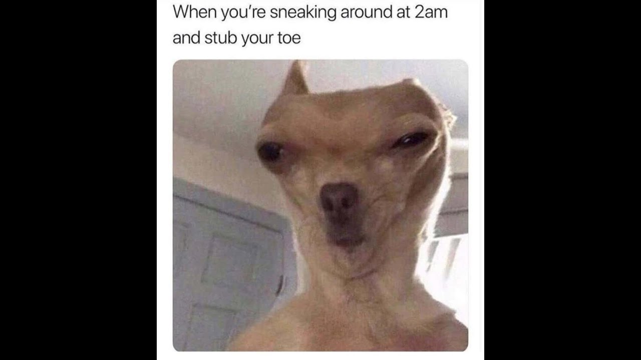 LIVE: brawlhalla tournament 