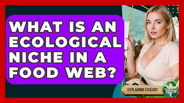 What Is An Ecological Niche In A Food Web? - Explaining Ecology