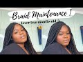 HOW TO REFRESH AND MAINTAIN YOUR BOX BRAIDS w/ NO FRIZZ! | OVER 2 MONTHS OLD PROTECTIVE STYLE