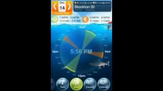 Fishing Deluxe for iPhone\iPad - How Does the Moon Influence Fishing?