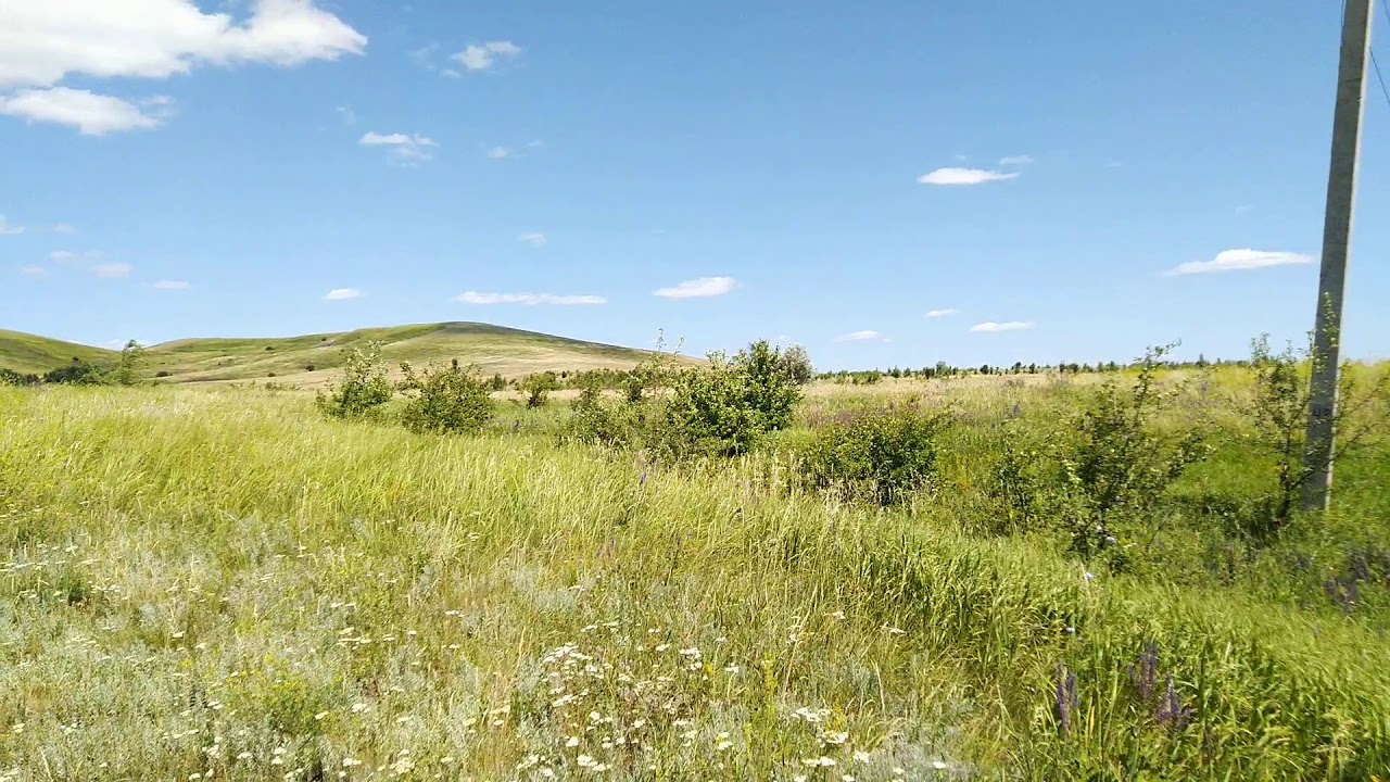 волжские просторы самара. простор самара. лето волга самарская область. простор самара. гора карабикулово шенталинский район.